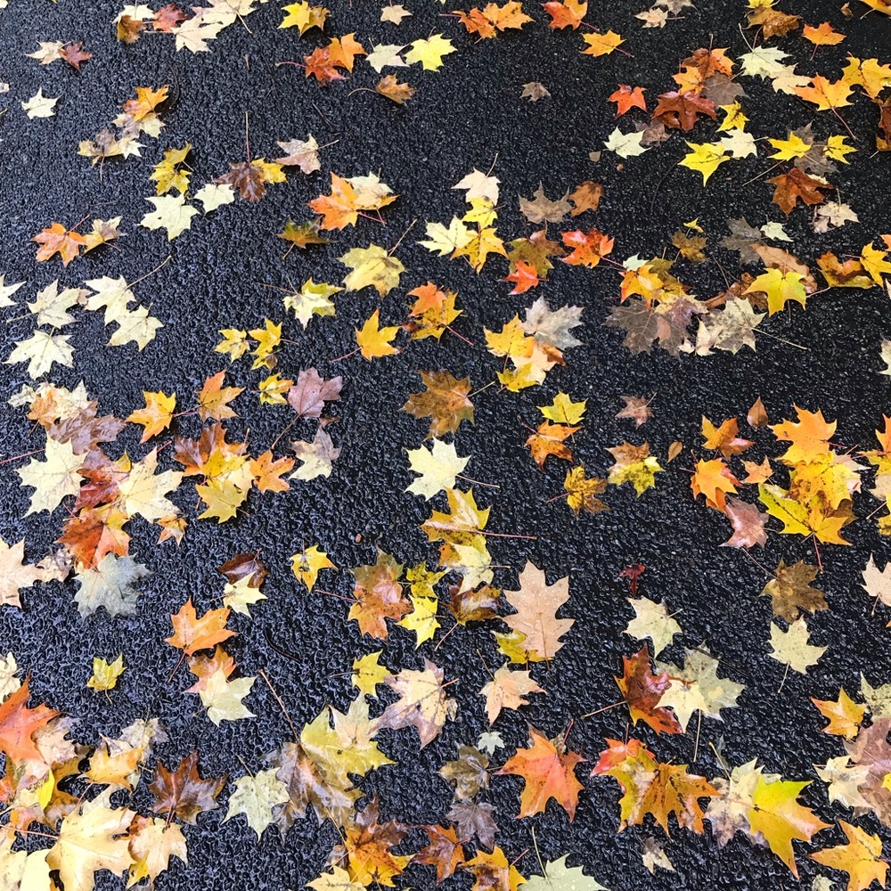 Meet your Posher, Theresa